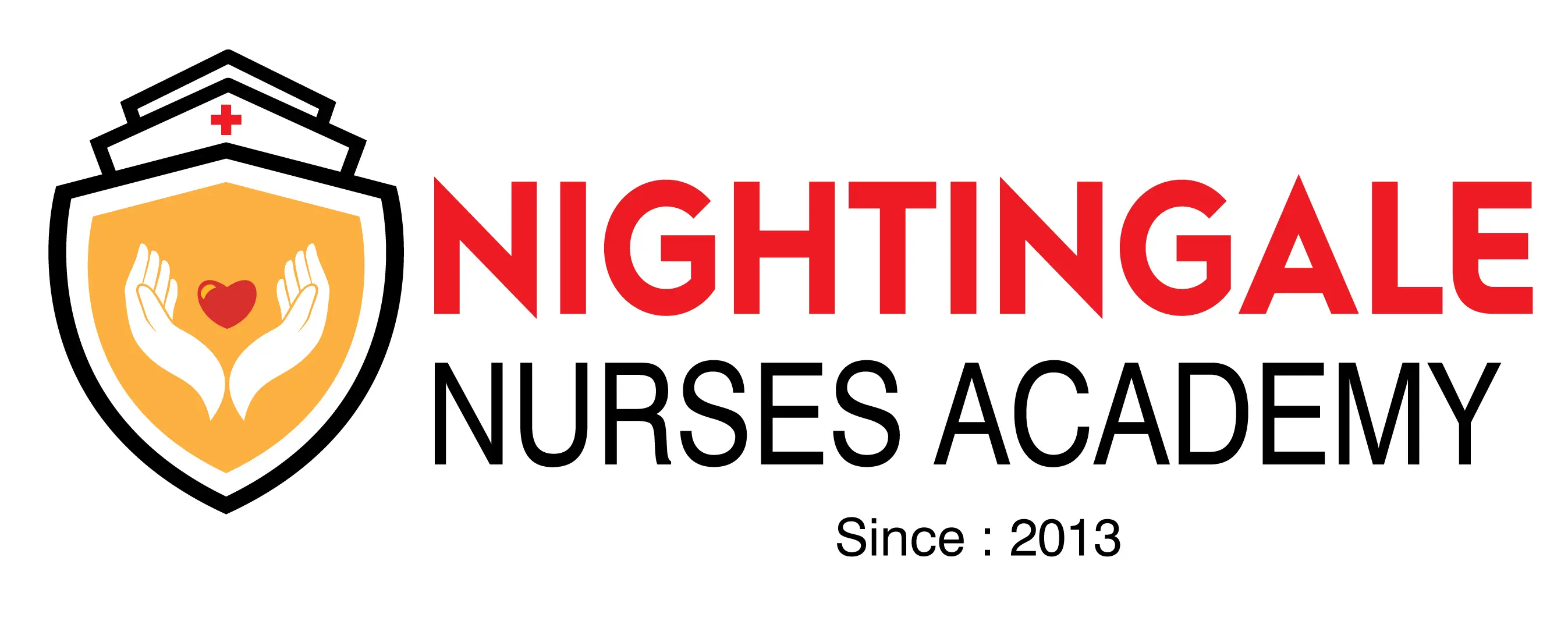 Google Ads NightNgle Logo