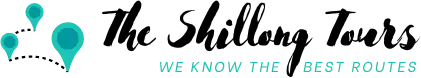 SEO Shillongtours Logo